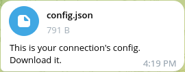 download-config-json